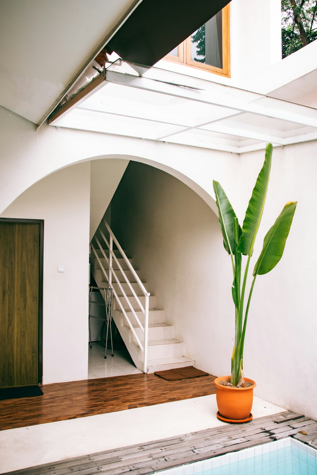a-potted-plant-sitting-next-to-a-swimming-pool-r1f7qeah9g0